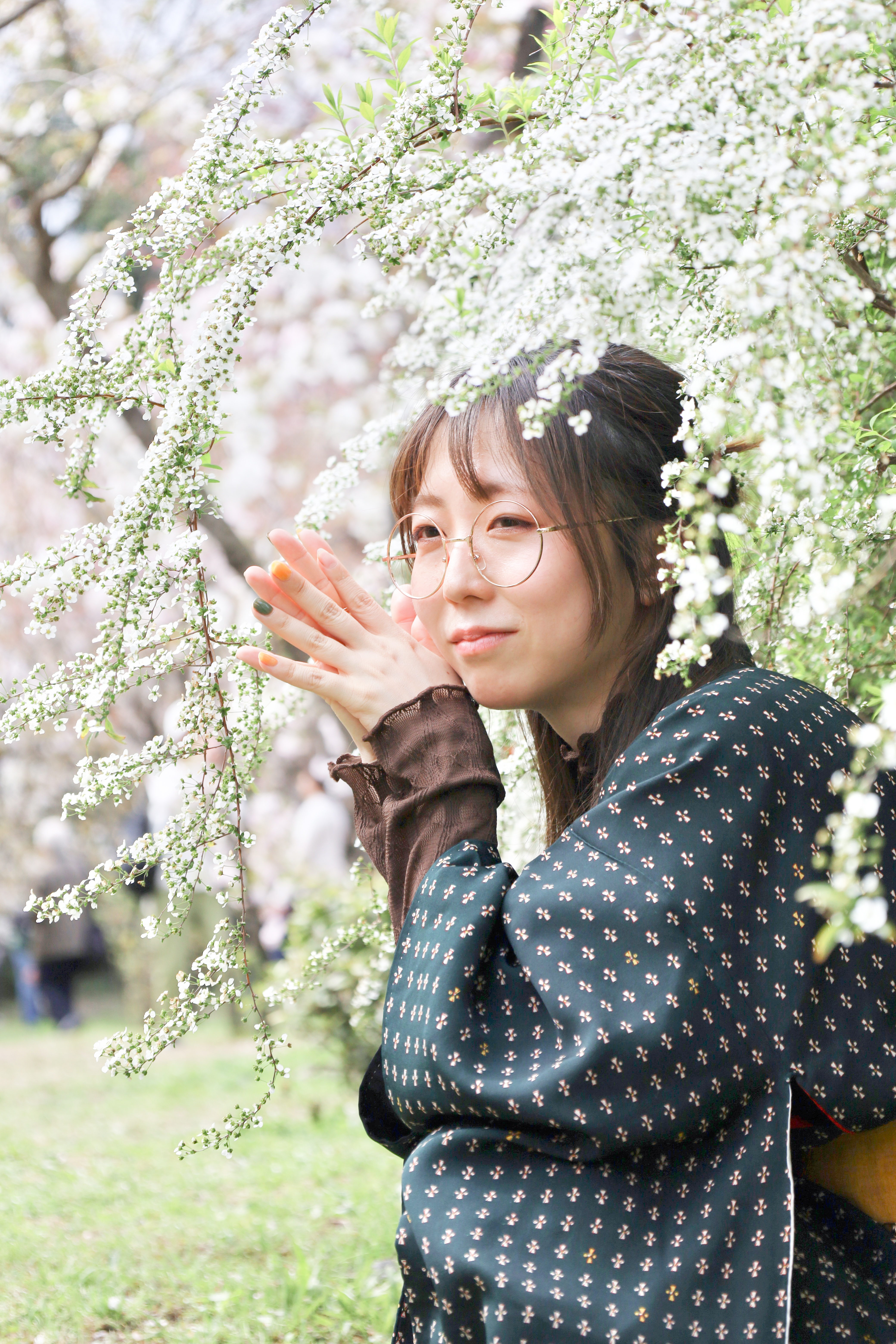 京都府立植物園の画像2