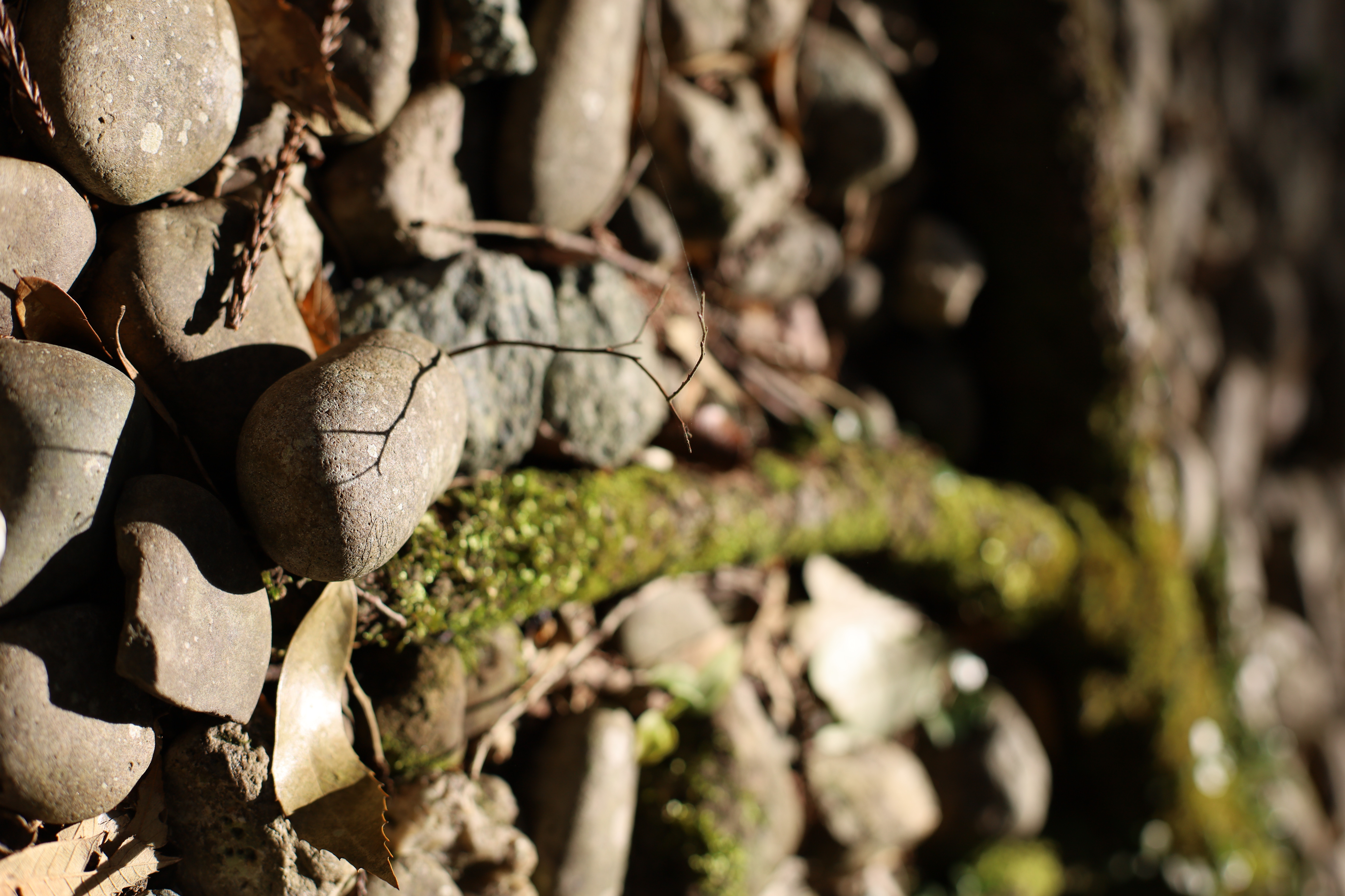 伊勢神宮 内宮の画像2