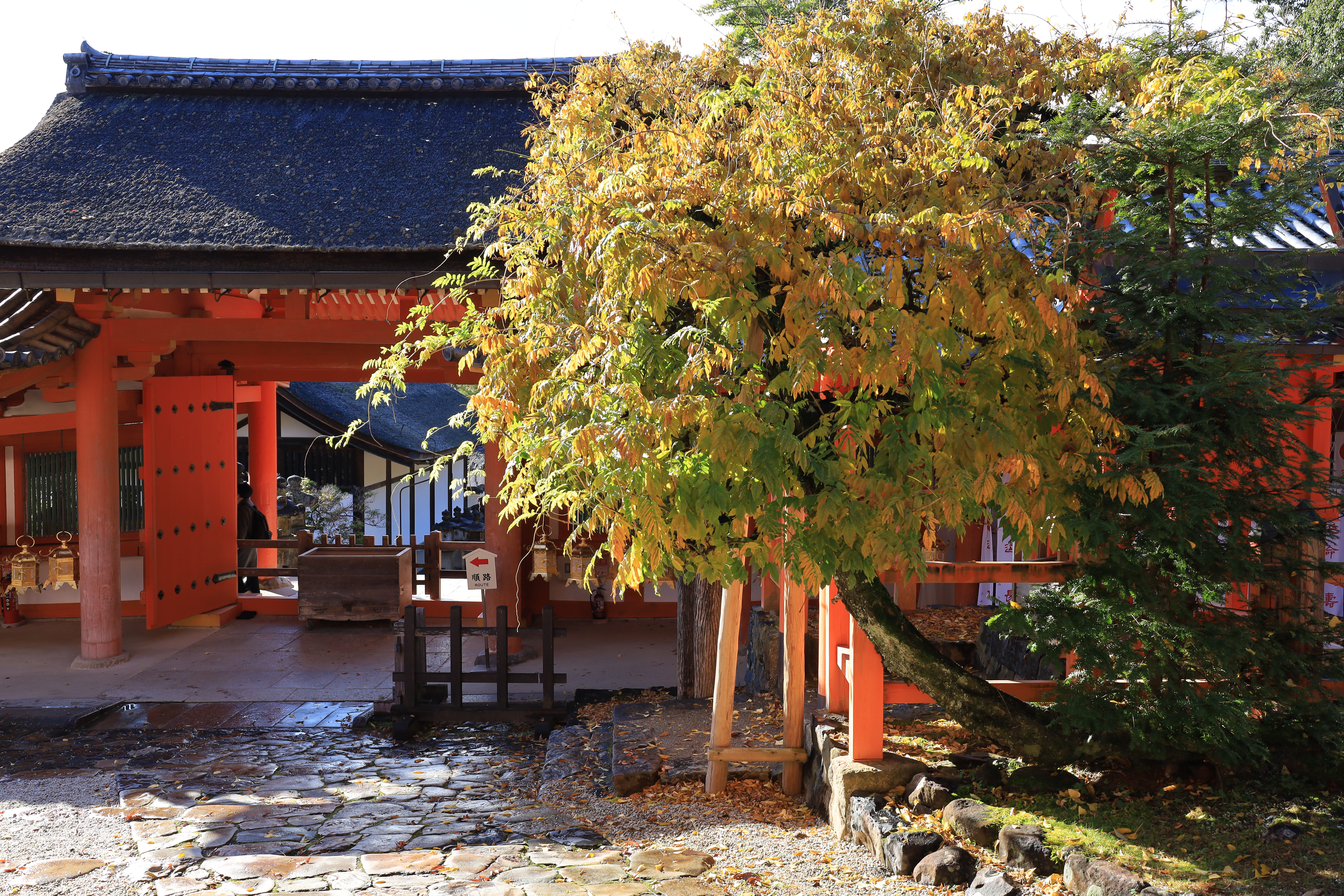 春日大社の画像2