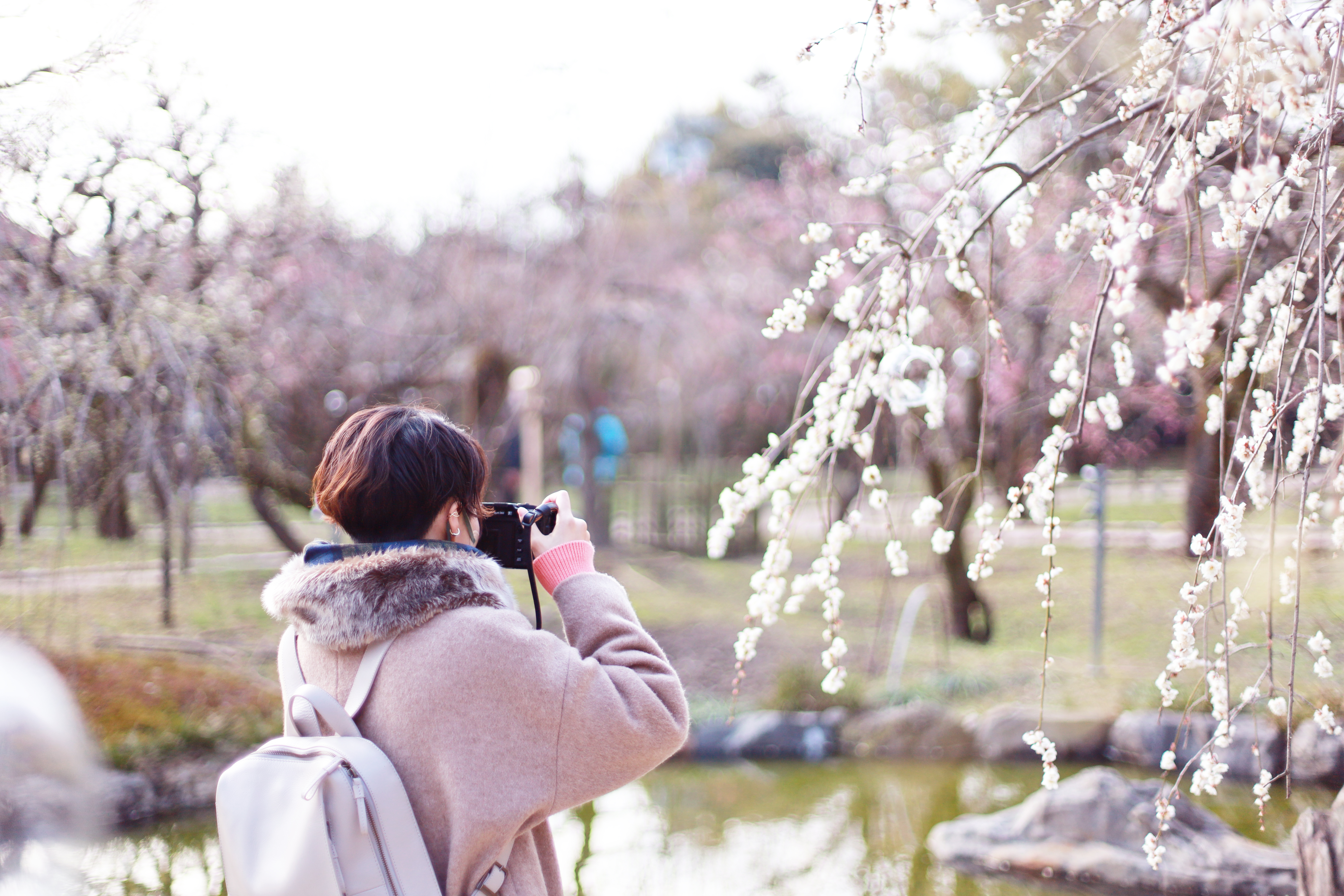 北野天満宮の画像4