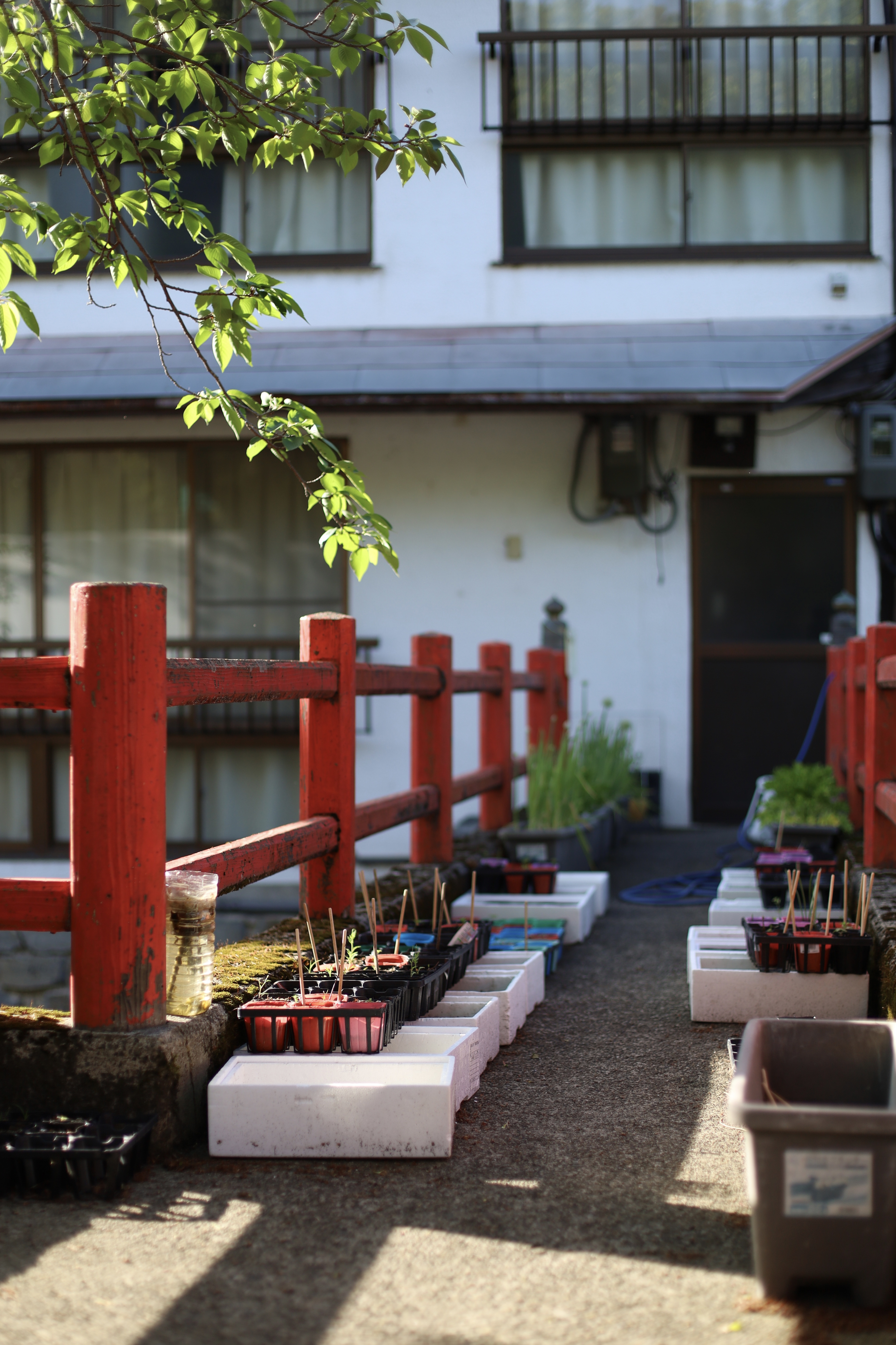 城崎温泉の画像4