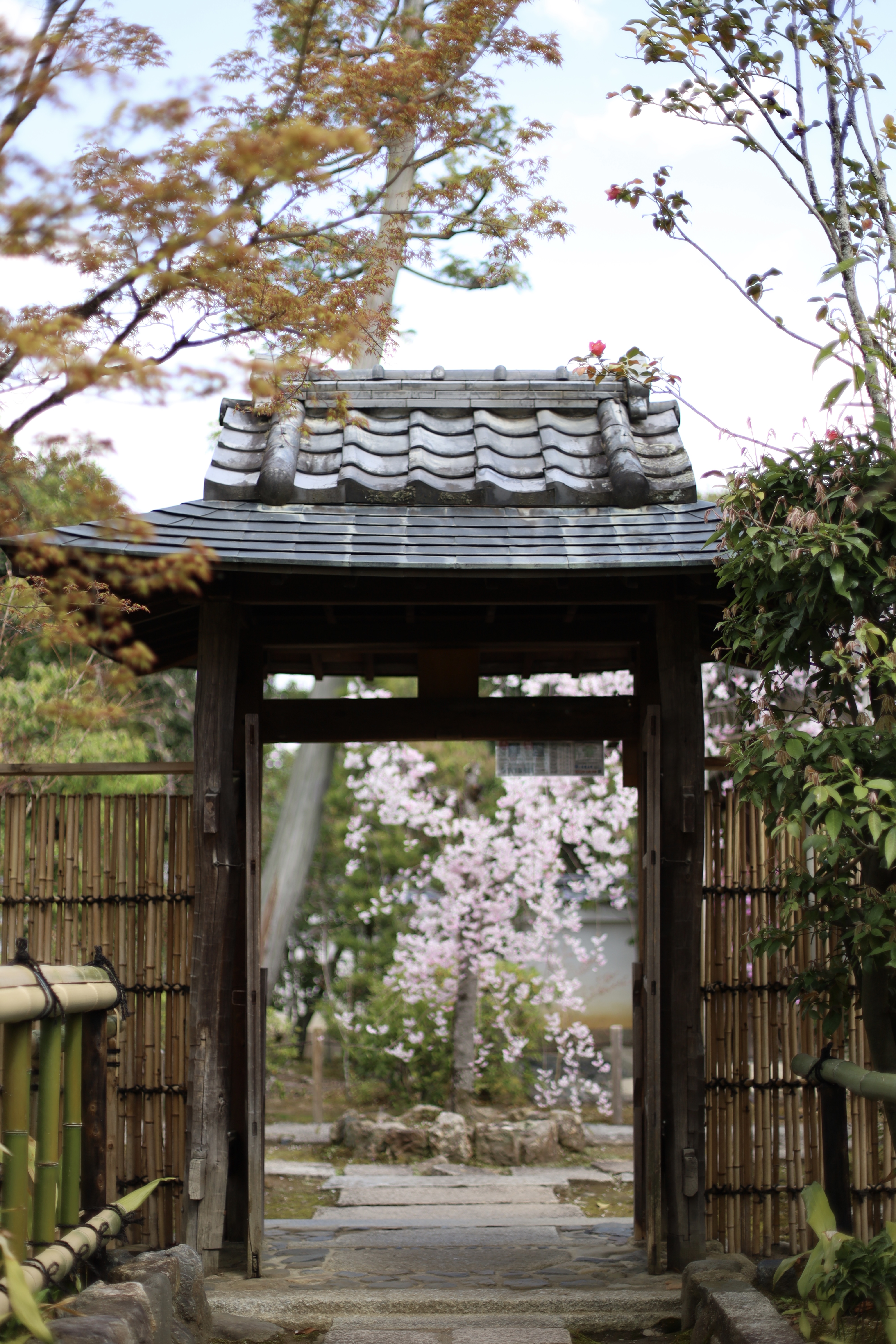 花園妙心寺町の画像5