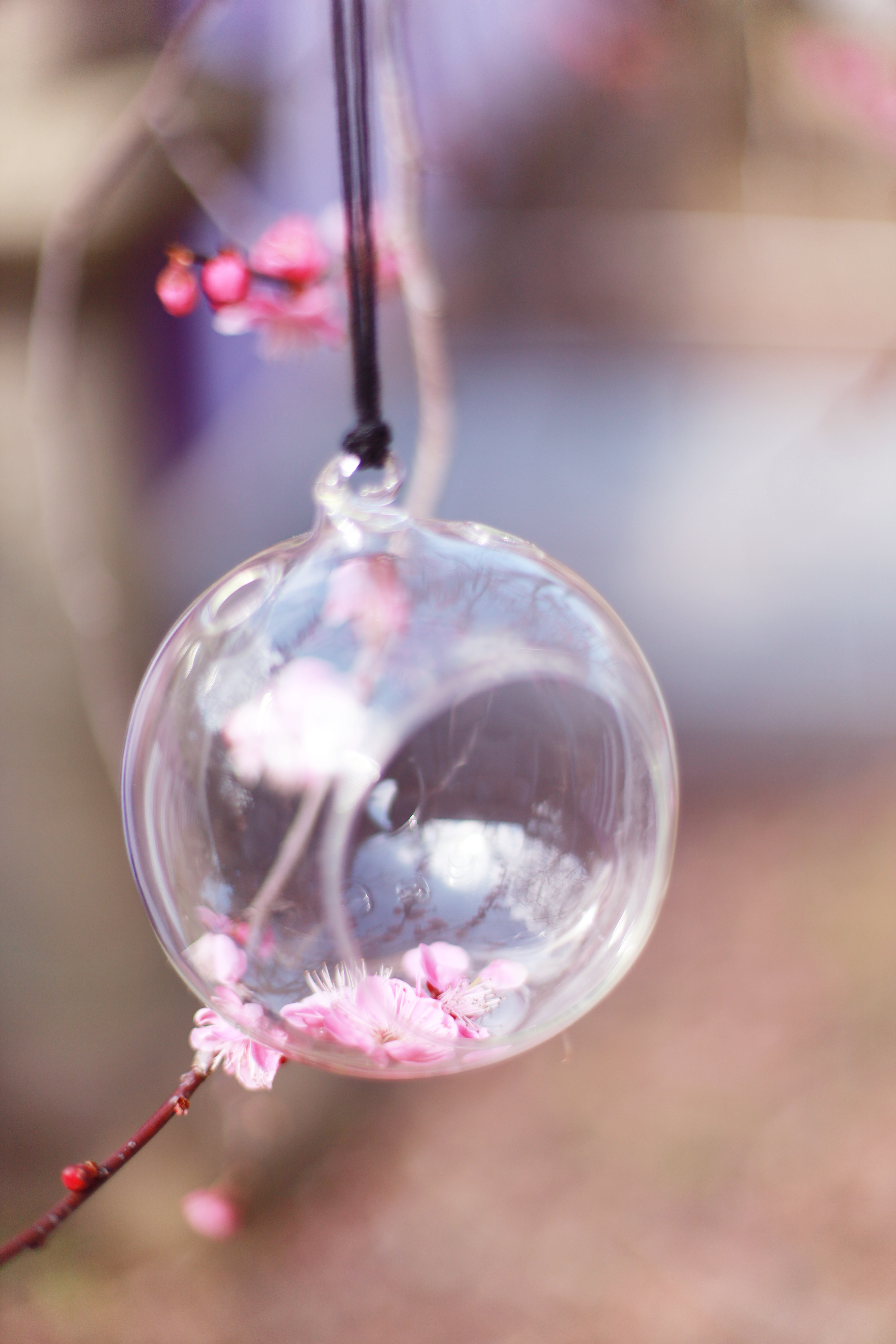 北野天満宮の画像2