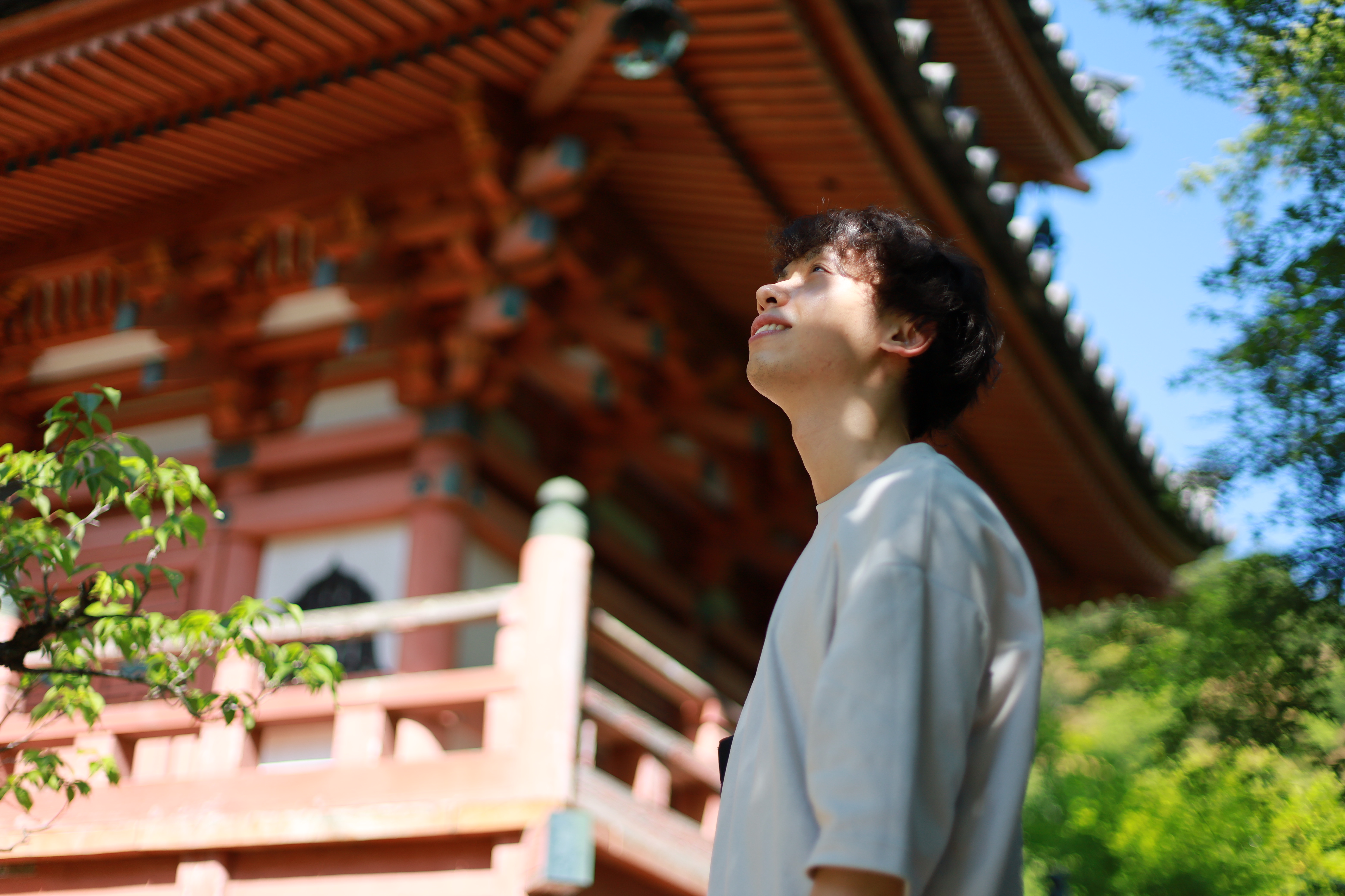 三室戸寺の画像4
