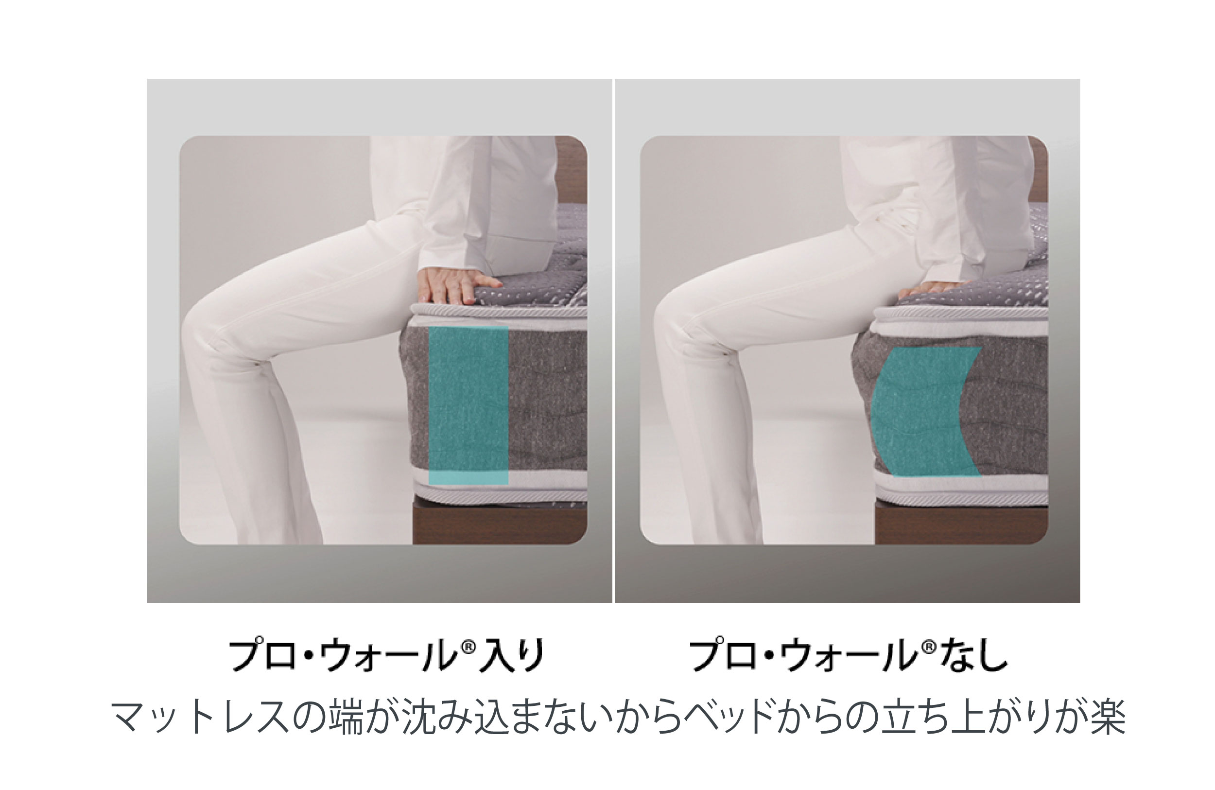 プロ・ウォール®の比較