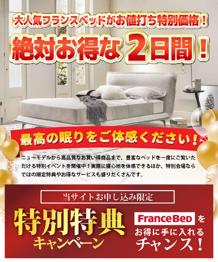 お買得品‼︎ 【極美品】介護用フランスベッド　着払い フランスベッド プレミアムフェア 【同時開催】NEW電動リクライニング
