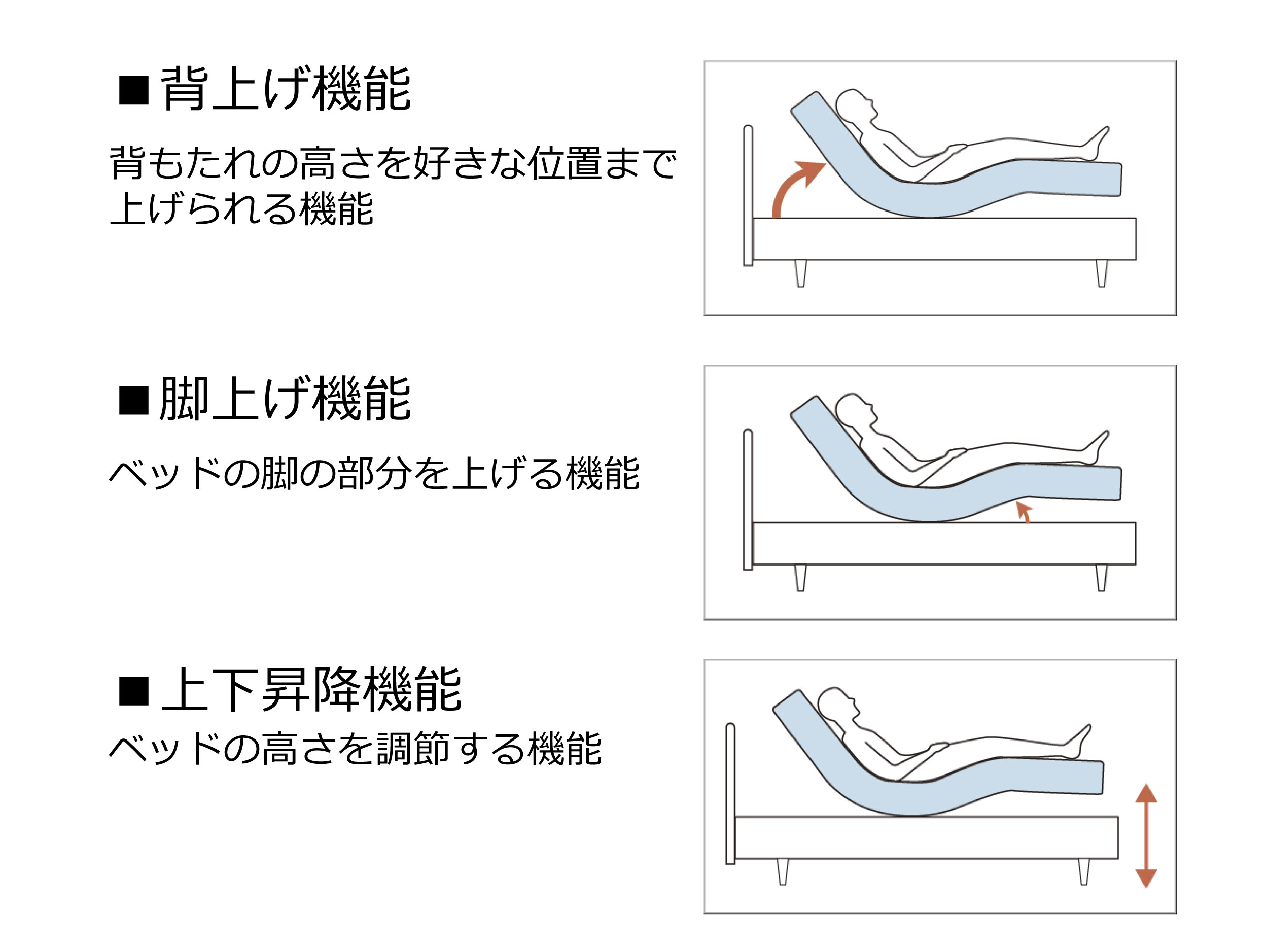 電動ベッドの機能種類一覧(背上げ・脚上げ・昇降)