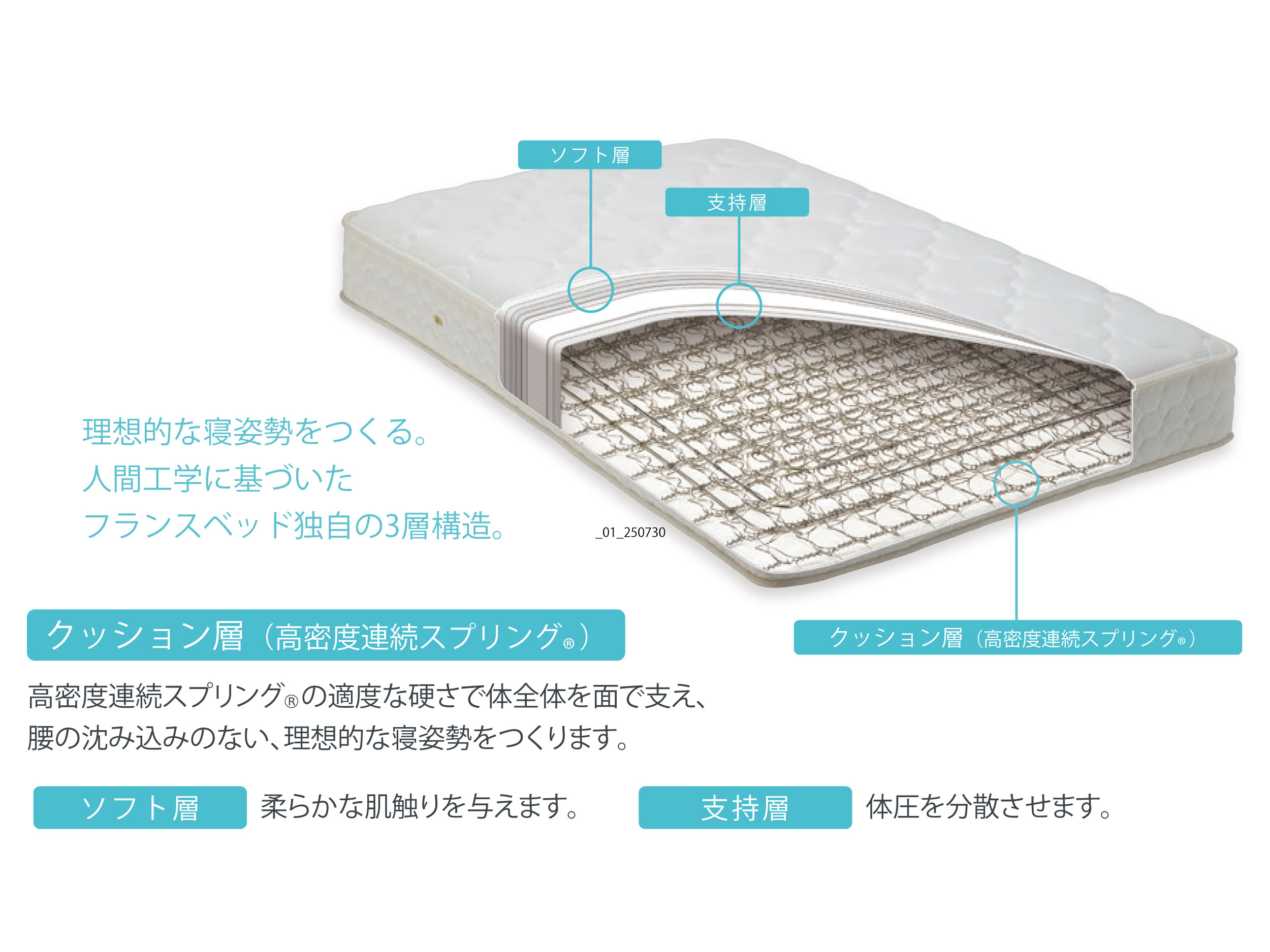 alt=高密度連続スプリング®の構造図