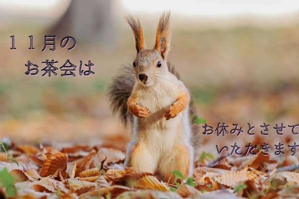 11月 お茶会