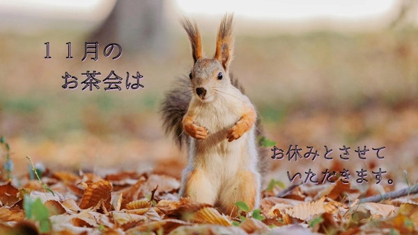 １１月　お茶会