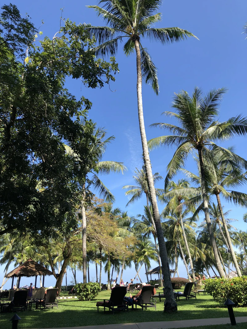 今年もありがとうございました！