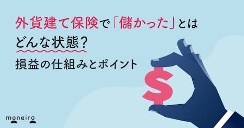 外貨建て保険で「儲かった」とはどんな状態?損益の仕組みや損しないためのポイント