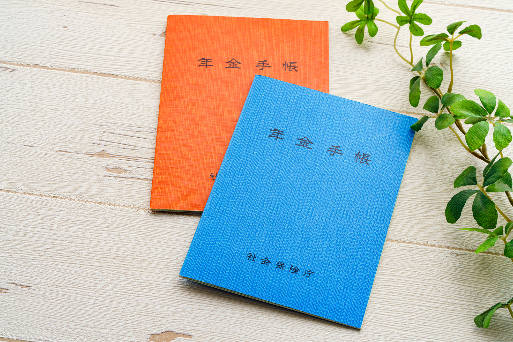 【中古】 年金の基礎知識 厚生年金・国民年金・共済年金 〔１９９５年〕最/自由国民社/服部営造 Amazon.co.jp: 年金の基礎知識－厚生年金・国民年金・共済年金