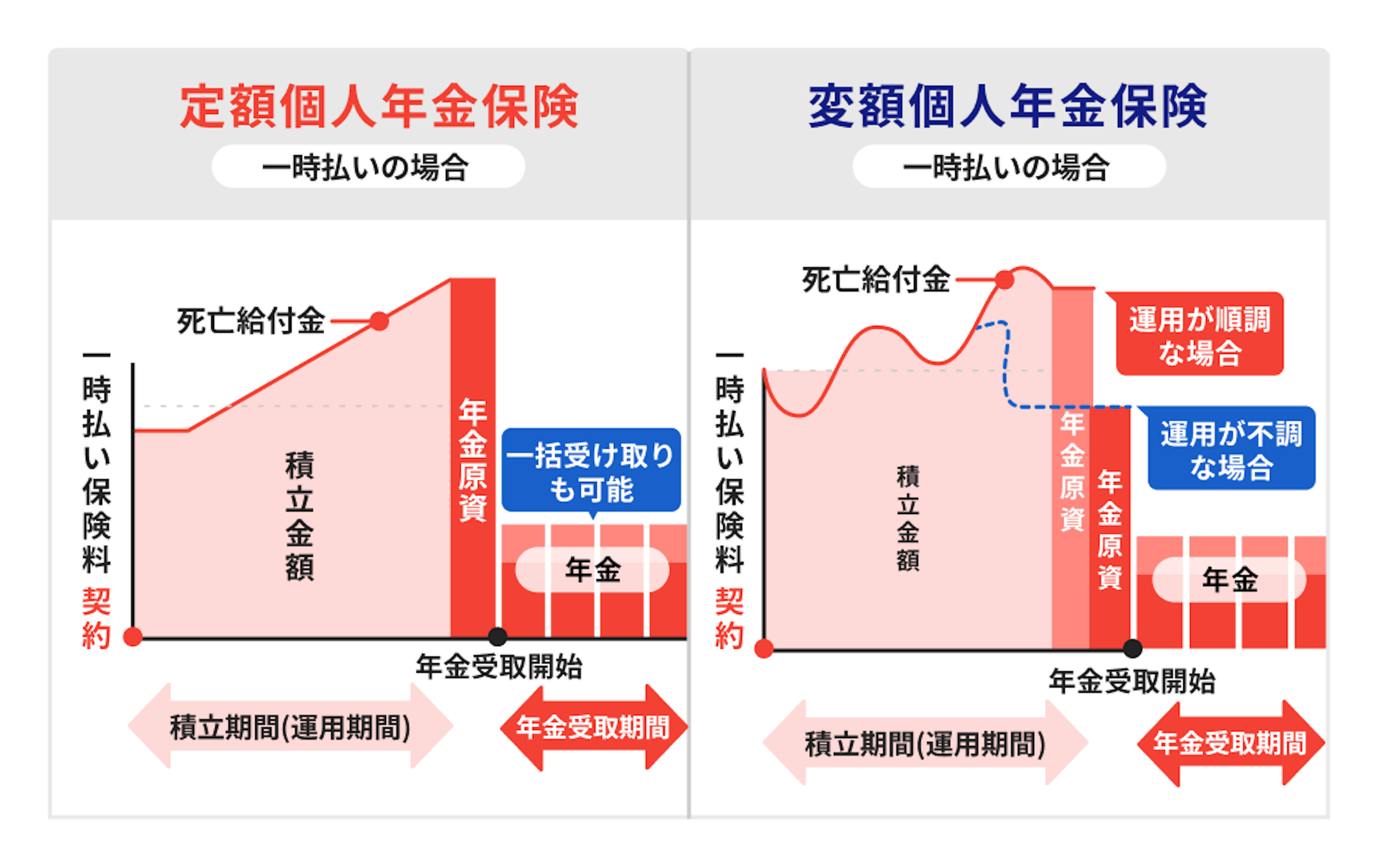 定額個人年金保険と変額個人年金保険