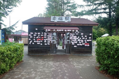 ダミーブログ記事 1