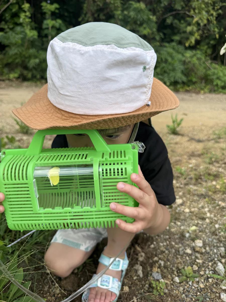 石垣島の自然と触れ合う