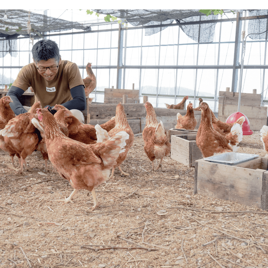 鶏セクションスライド画像3