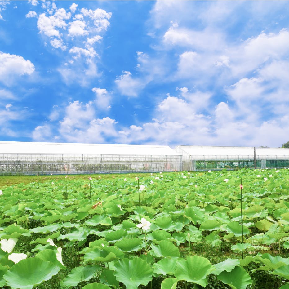 農園セクションスライド画像1