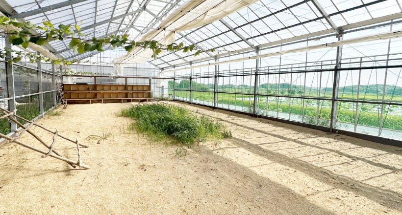 清潔な鶏舎画像