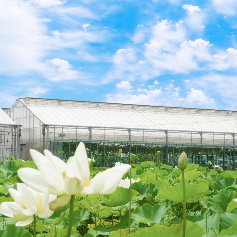 農園セクションスライド画像2