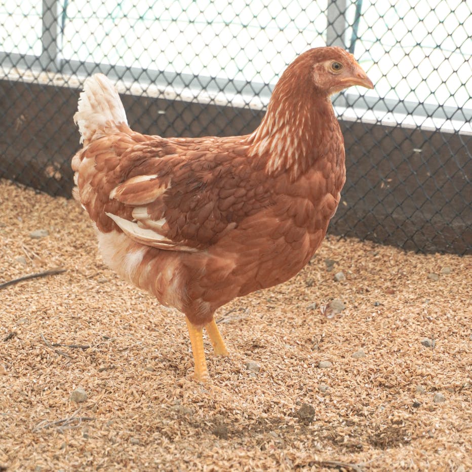 農園セクションスライド画像3