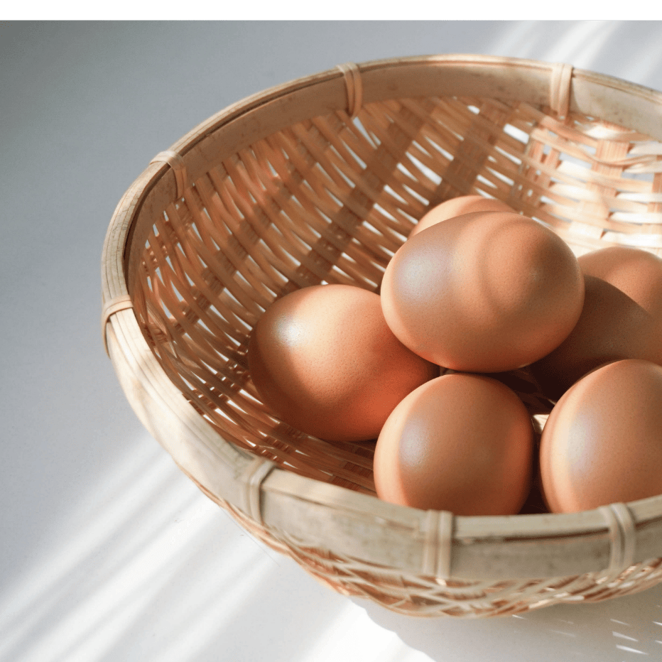 卵セクションスライド画像1