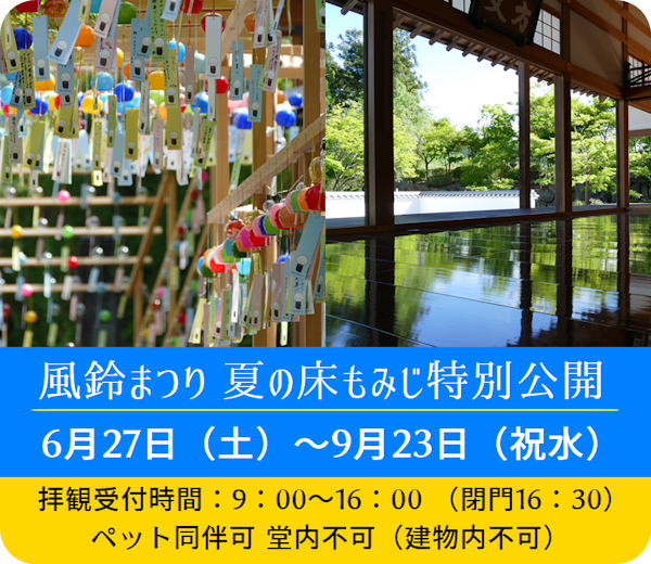 【桐生】宝徳寺の「風鈴まつり」が開催中みたい！3700個の風鈴トンネルを歩けるとのこと