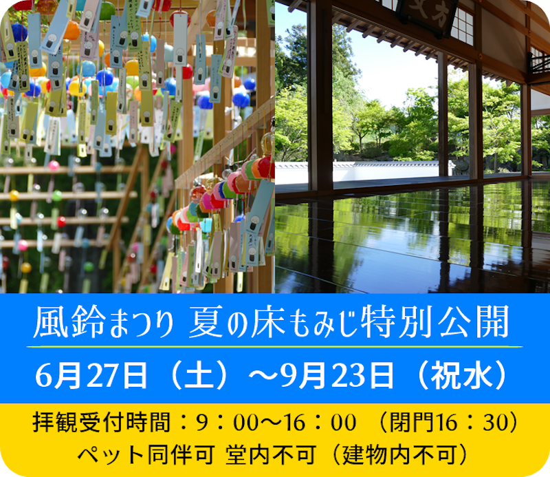 【桐生】宝徳寺の「風鈴まつり」が開催中みたい!3700個の風鈴トンネルを歩けるとのこと