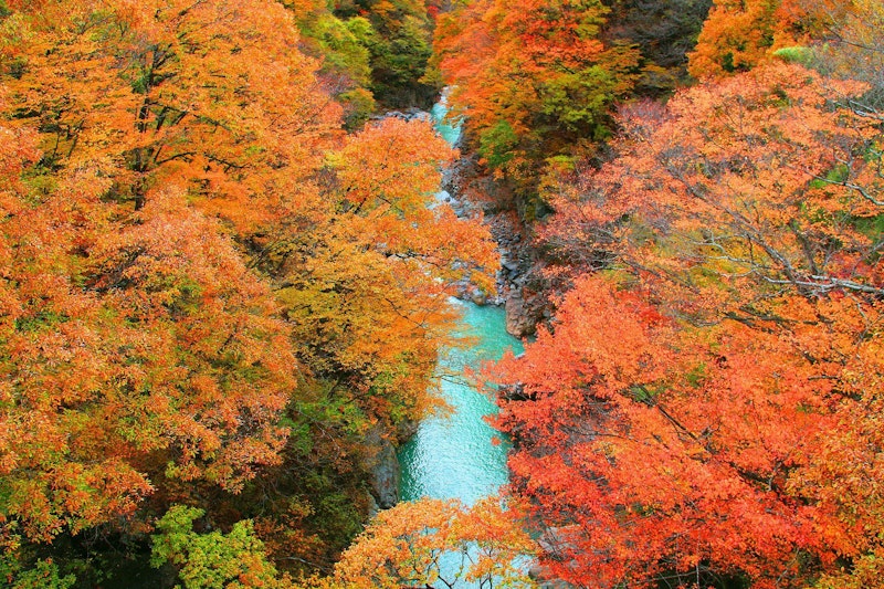 赤城山・伊香保の紅葉狩り！2025年秋のおすすめスポットはこんな感じ