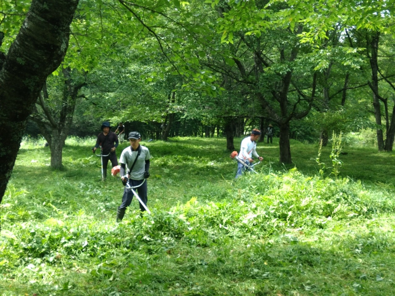 安全衛生大会とボランティア活動を実施しました。 3