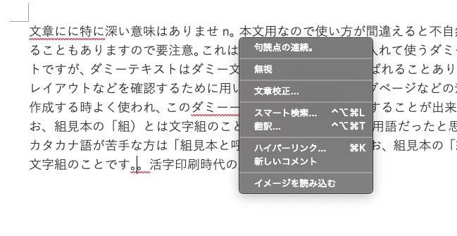Word文章校正機能：ツールチップ表示