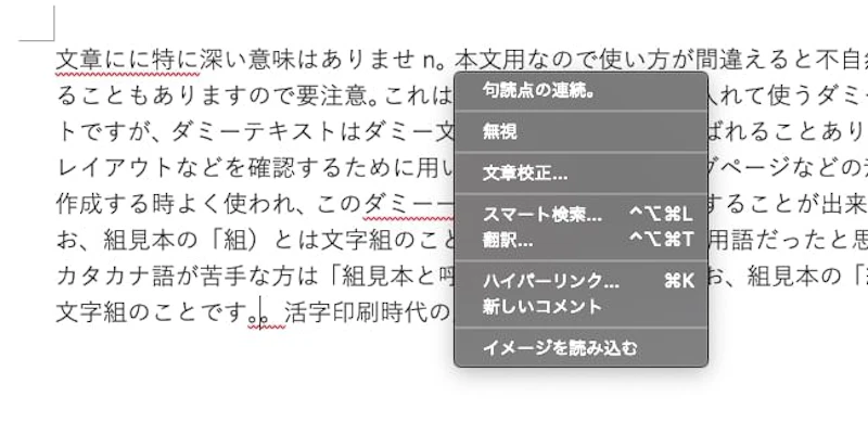 Word文章校正機能：ツールチップ表示