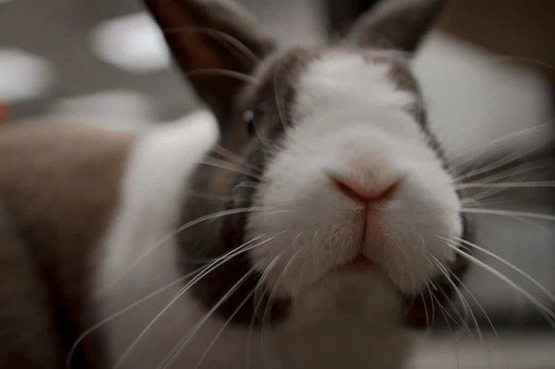 ですます調のメリット・デメリット