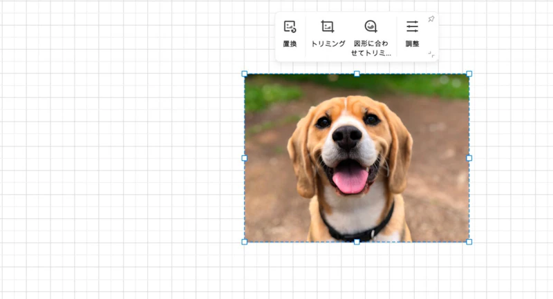 EdrawMax：画像貼り付け