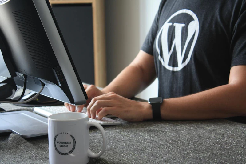 無料あり:SEOに強いWordPressテーマおすすめ3選【30種比較】
