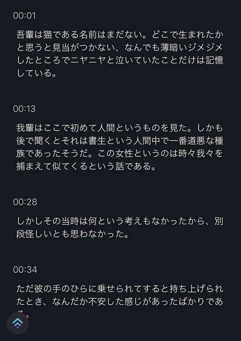 Notta：文字起こし例1