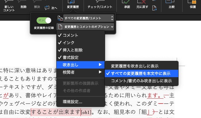 Word校閲機能：インライン設定