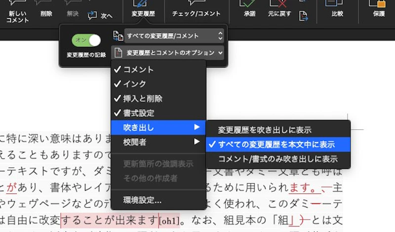 Word校閲機能：インライン設定