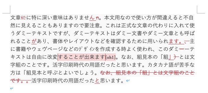 Word校閲機能：インライン表示