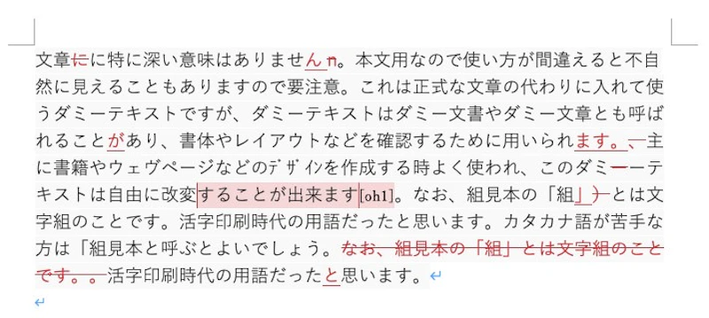 Word校閲機能：インライン表示