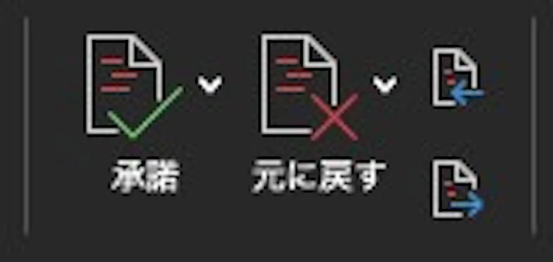 Word校閲機能：個別チェック