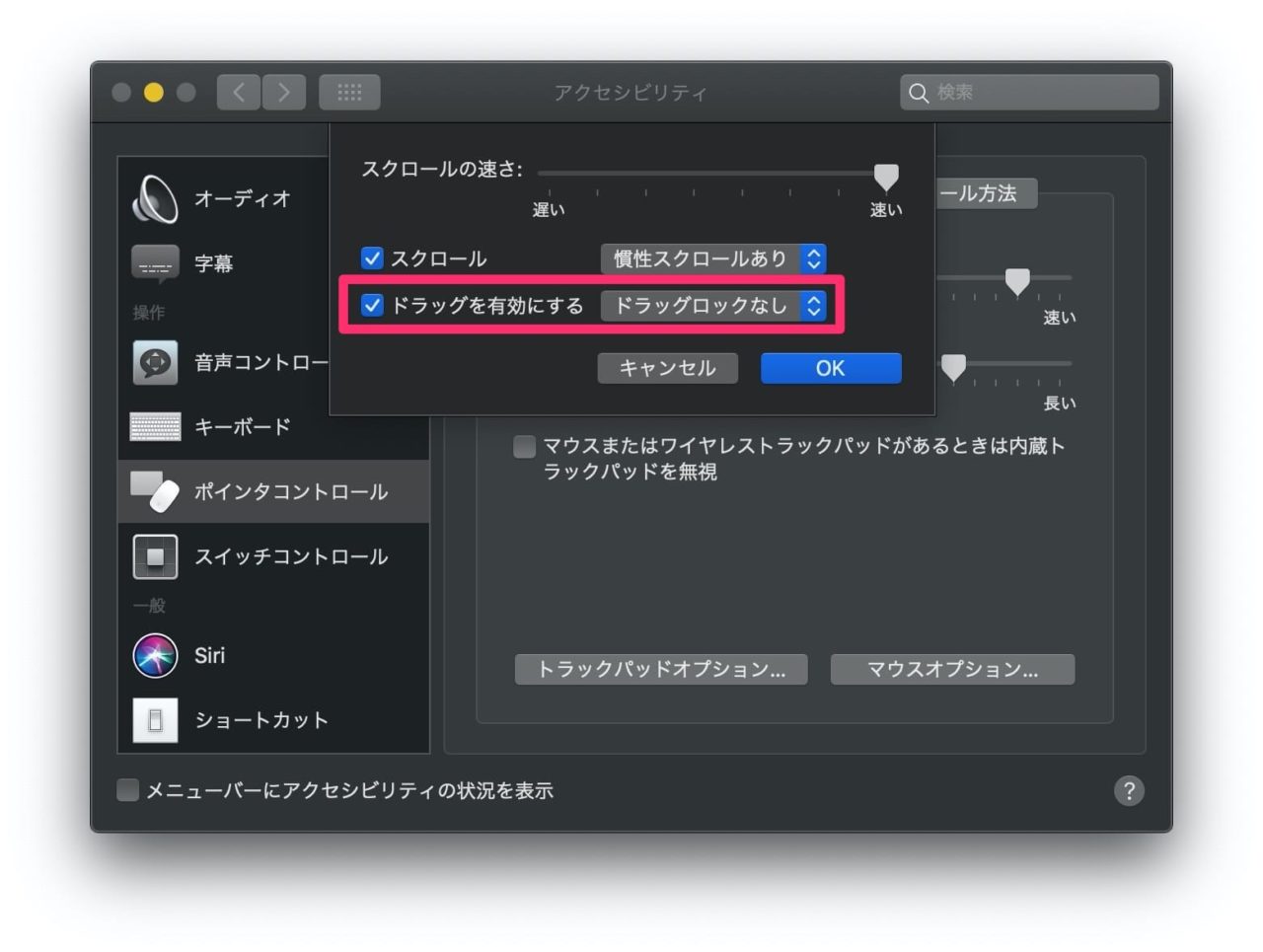 トラックパッドの設定：アクセシビリティ