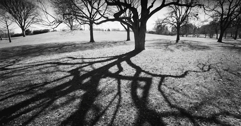 【初心者向け】上手い伏線の張り方・回収方法7選【脚本の人そこまで考えてないと思うよ】