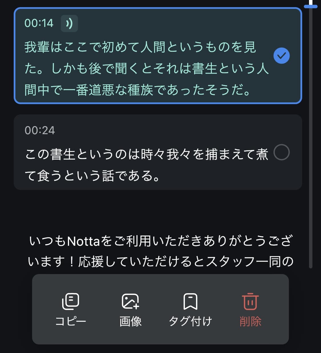 Notta：テキスト・画像挿入