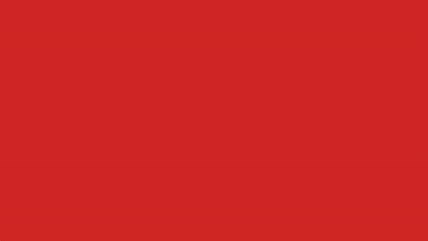 ReD_logo_2