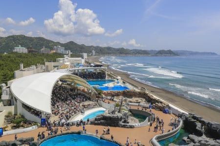 鴨川シーワールドホテル内での施設メンテナンスのお仕事! 求人コード:SKJ-00002