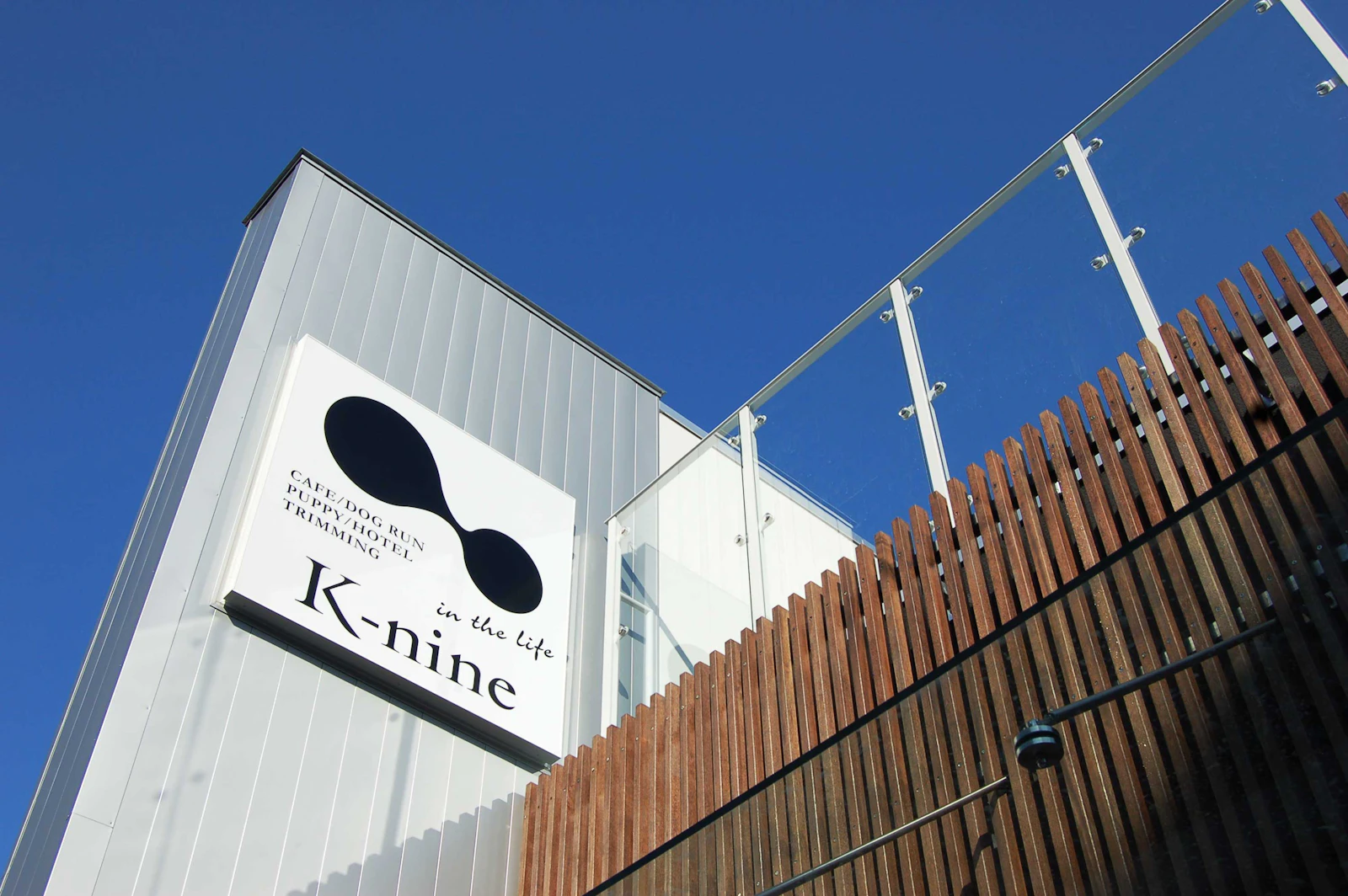 K-nine in the life