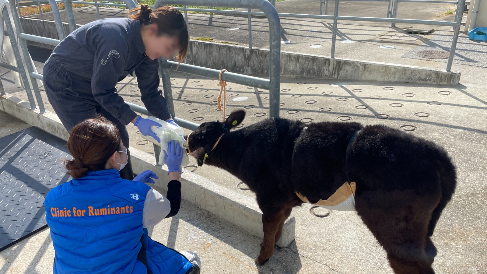産業動物獣医師リーダー育成プロジェクト