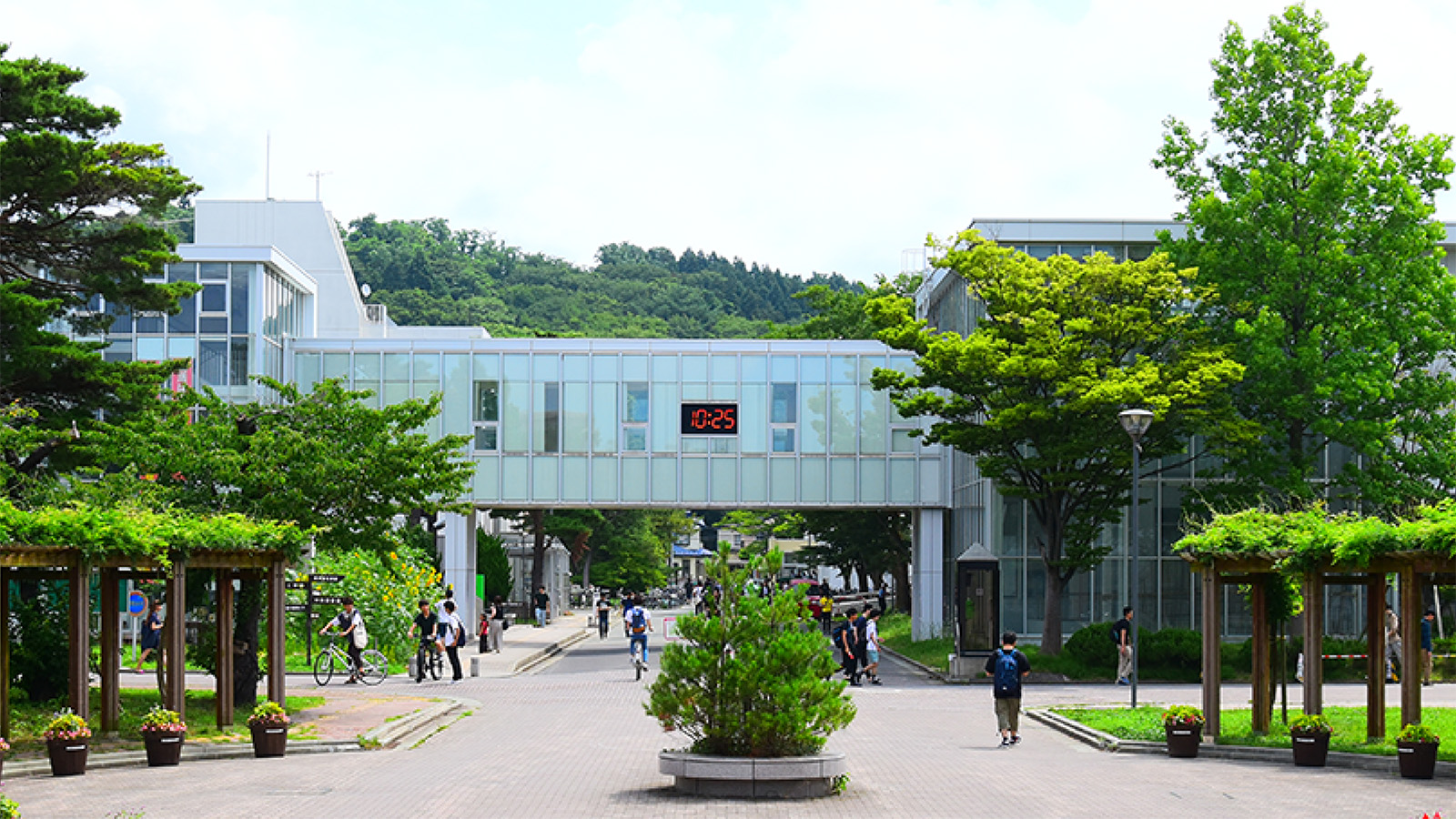 寄付金の用途を秋田大学学長にお任せ