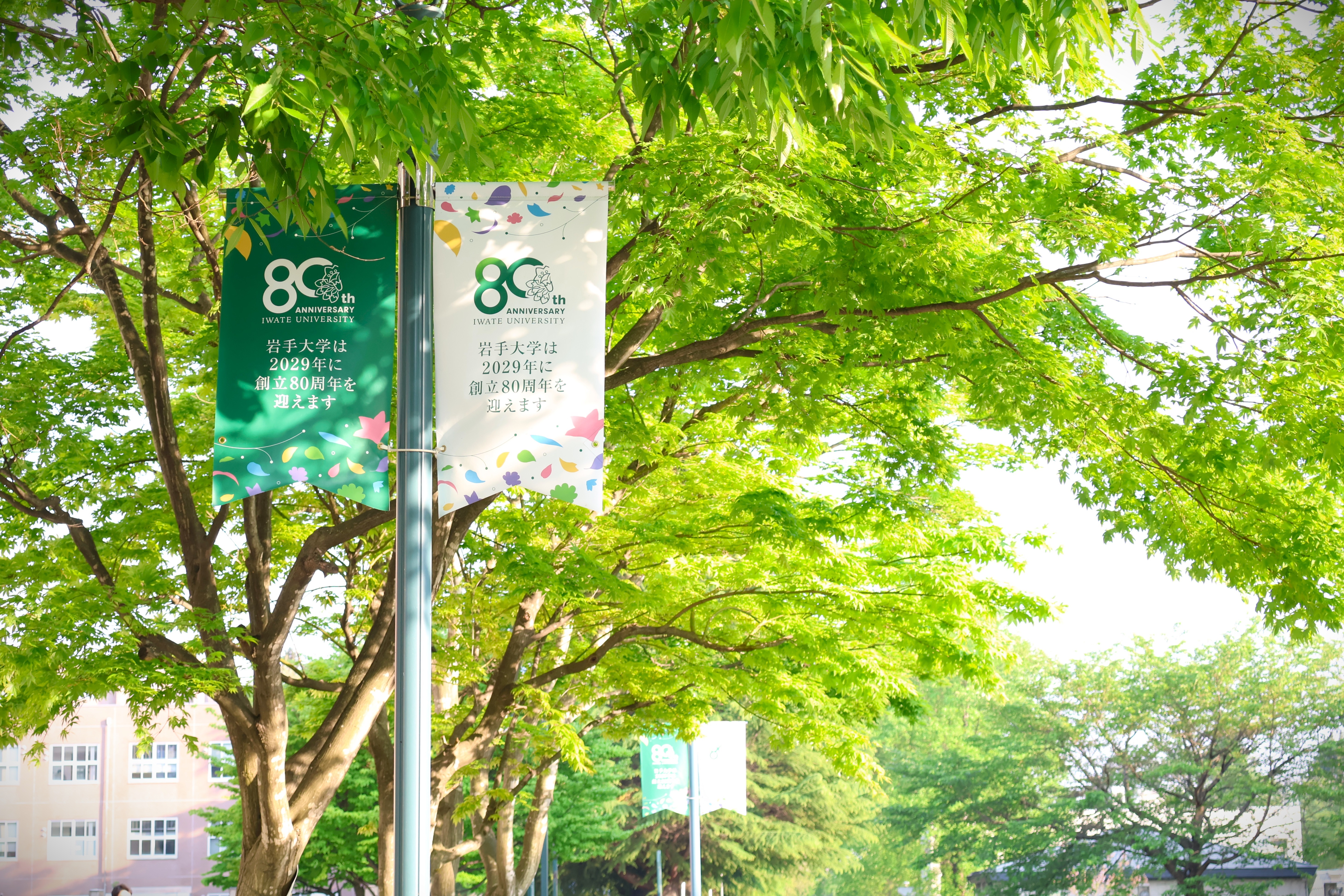 創立80周年記念「イーハトーヴの学び舎」活性化プロジェクト